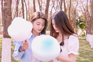 春日惊喜 | 樱花和棉花糖更配哦