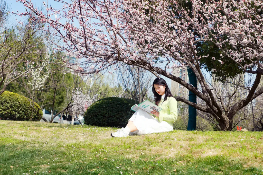 春天的味道？大概是樱花味的棉花糖